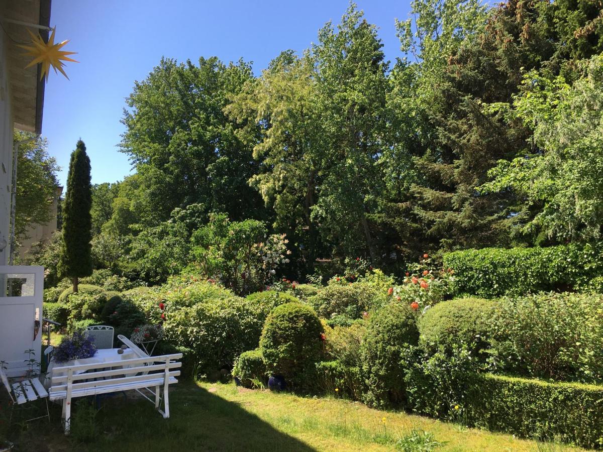 Villa Anna ツィノヴィッツ エクステリア 写真